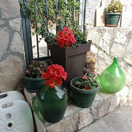 Apartments Nino Skadar Lake Virpazar Dış mekan fotoğraf