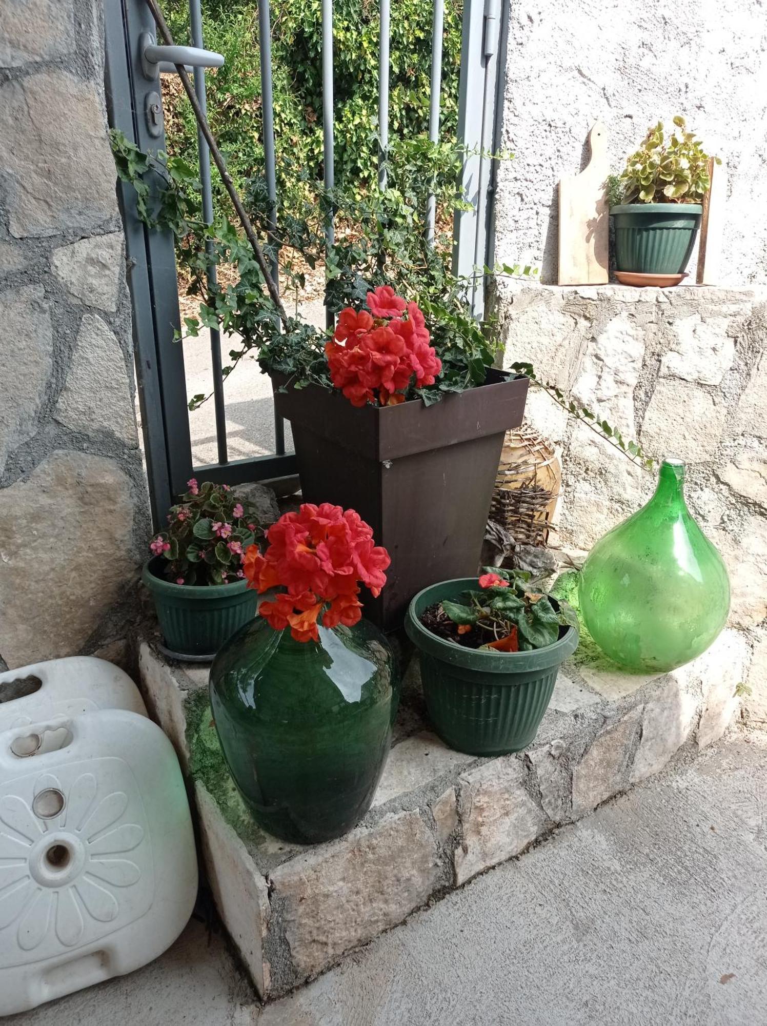 Apartments Nino Skadar Lake Virpazar Dış mekan fotoğraf