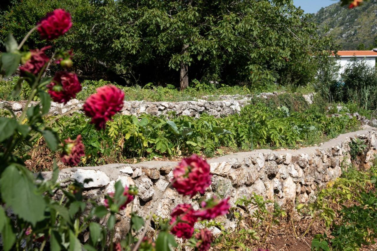Apartments Nino Skadar Lake Virpazar Dış mekan fotoğraf