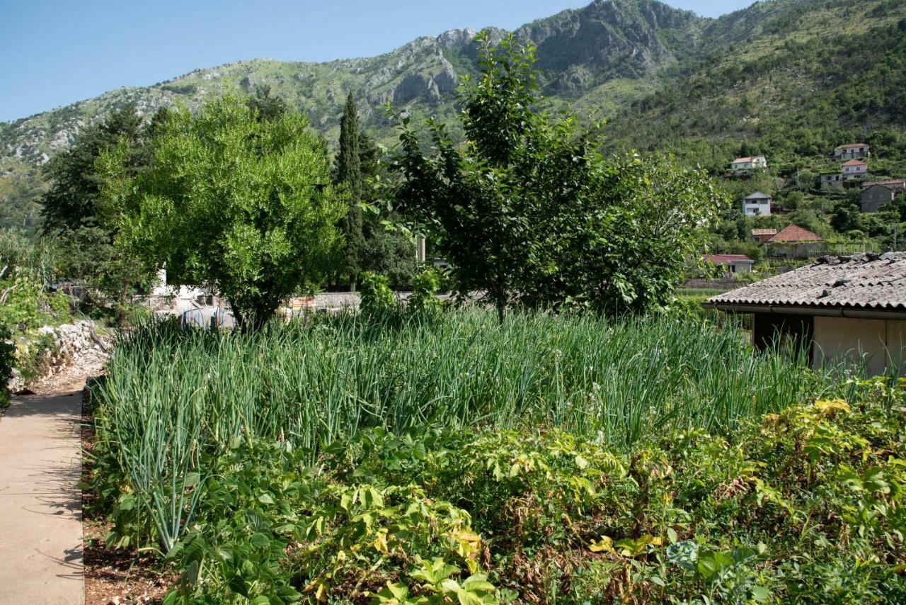 Apartments Nino Skadar Lake Virpazar Dış mekan fotoğraf